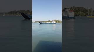 Waiting for the Ferry  Macleay Island Queensland [upl. by Lliw540]