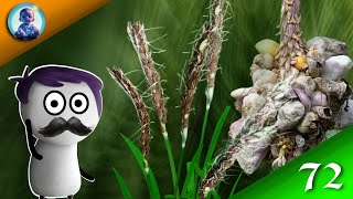 🍄USTILAGO LIFE CYCLE USTILAGO FUNGI ANIMATION USTILAGO BSC HINDI [upl. by Willa]