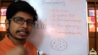 Immunostaining  immunohistochemistry immunocytochemistry and western blot [upl. by Halfdan]