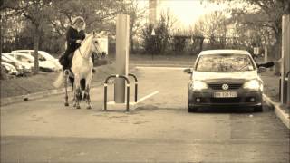 Cheval au Drive  Horse at Drive [upl. by Allez]