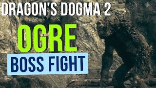 Dragons Dogma 2  Ogre Fighter [upl. by Merras]