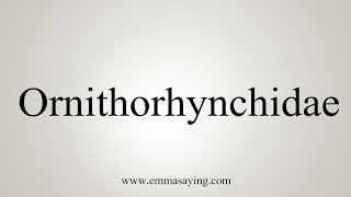 How To Say Ornithorhynchidae [upl. by Eliades]