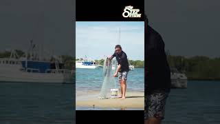 How to Throw a Cast Net  Excellent Cast Net Fishing Skill  Awesome CAST NETTING WITH PRO THROW [upl. by Alleen]