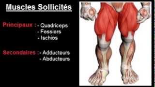 Exercice musculation Cuisses  quot Fentes quot [upl. by Hak]