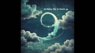 เพลง New life is born SUNO BEAR [upl. by Emmie48]