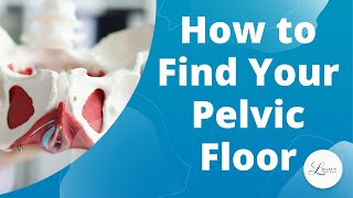 How to find your pelvic floor [upl. by Ialohcin629]