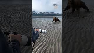 Photographers Gets Attacked By Enraged Bear [upl. by Ochs624]