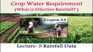 CropWAT 80 Rainfall Data amp effective Rainfall Methods 5 [upl. by Leay]