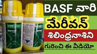 Basf Merivon Fungicide Use in Mirchi  Basf Company Products  Fungicides in Mirchi Farming  Crops [upl. by Nus]