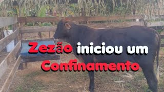 ⚠️INICIAMOS um novo CONFINAMENTO  confinamento do Zezão [upl. by Anaytat]