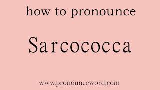 Sarcococca How to pronounce Sarcococca in english correct Start with S Learn from me [upl. by Monaco]