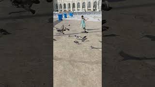 sunar madina amar pranaer madina [upl. by Annah726]