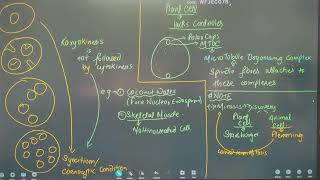 NEET 2025 BIOLOGY  CELL CYCLE  REGULATION OF MITOSIS  MEIOSIS INTRODUCTION [upl. by Josi57]