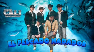 EL PESCADO NADADOR  TIERRA CALI Video Oficial [upl. by Noired]