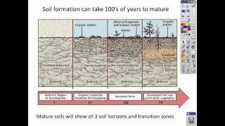 Intro to Soil lecture [upl. by Yerkovich]