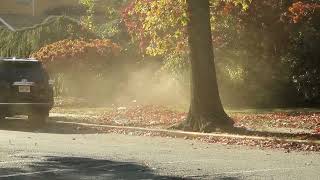 Dust Storm Created by Landscapers Respiratory Distress [upl. by Ayekehs193]