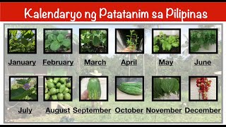 KALENDARYO NG PAGTATANIM NG GULAY SA PILIPINAS  Plant Lovers Diary [upl. by Hintze533]