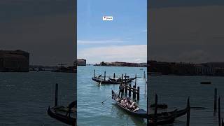 Venice Italy 🇮🇹 venice shorts italy ytshorts travel [upl. by Godewyn]