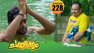 Chakkappazham 2│Comedy Series│EP 228 [upl. by Nahgiem30]