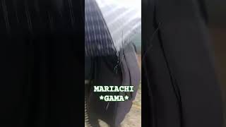 Parece que va llover el cielo se está nublanndo quot Mariachi GAMA [upl. by Nivat]