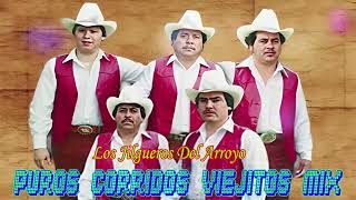 Los Jilgueros Del Arroyo Las Mejor Exitos Del Recuerdos  Puros Corridos Mix [upl. by Ecirtnahc696]