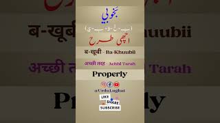 BaKhuubii Meaning  Urdu Dictionary [upl. by Gehlbach447]