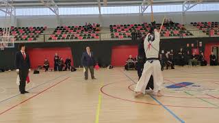 Campeonato Aragón Kendo 2024 Semifinal liguilla Alex Alonso vs Ruben Borque [upl. by Reffinnej]