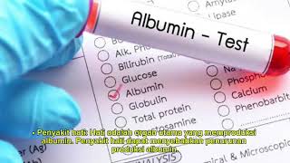 Albumin Blood Test [upl. by Aned]