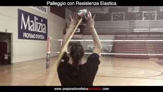 Volley  Best Setter Exercises [upl. by Limber]