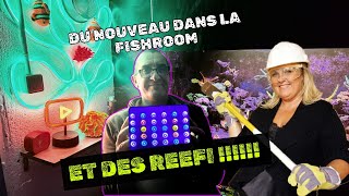 Du nouveau dans la fishroom et des lampes REEFI [upl. by Ameehsat246]