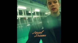 Rex Orange County  Happiness Official Audio [upl. by Dlawso]