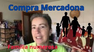 Compra semanal Mercadona🛒🥗🥖con precios familia numerosa 🙋🏻‍♀️🙋🏻‍♂️🙍‍♂️🙍‍♂️🙍‍♂️😺😺🐶🐶🐥 [upl. by Valley]