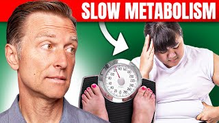 The Best Way to Fix a Slow Metabolism – Dr Bergs Expert Advice [upl. by Fine]