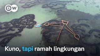 Cara menangkap ikan ramah lingkungan masuk warisan UNESCO Charfia  DW Inovator [upl. by Nueoras]