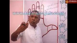 PALMISTRY PART 34 IN HINDI [upl. by Cantu]