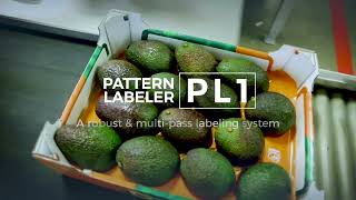 Pattern tray fruit labeling solution Sinclair PL1 [upl. by Santiago]