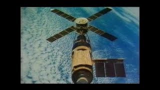 Skylab Crashes into Western Australia 1979 amp Skylab Stan [upl. by Ardnassela]