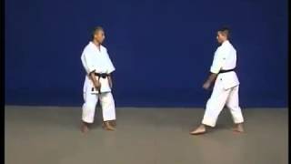 Shito Ryu Pinan Godan Kata amp Bunkai by Hidetoshi Nakahashi [upl. by Rudwik]