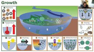 Kait Reinl  What makes a cyanobacerial bloom disappear [upl. by Thordis]