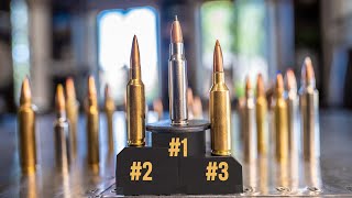 Most Popular Rifle Cartridges on the Market [upl. by Papagena]