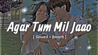 Agar Tum Mil Jaao  Slowed  Reverb   Shreya Goshal  Hindi Lofi [upl. by Nichy]