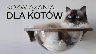 ROZWIĄZANIA DLA KOTÓW  Drapak kuweta osiatkowanie balkonu 😻 [upl. by Revolc340]