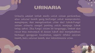 ANATOMI GINJAL DAN SISTEM URINARIA [upl. by Sinclair]