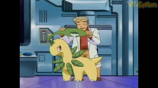 Bayleef attacks Professor Oak  Professor Oak Funny Moments [upl. by Qifahs994]