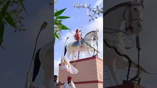 💫Tejal darbar 🚩🔥 tejaji tejajistatus status viralvideo song dance newsong dj shortvideo [upl. by Nylorac209]