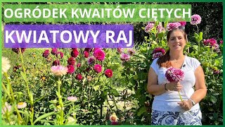 Ogródek kwiatowy z daliami  najlepsze kwiaty do bukietów [upl. by Hedvig]