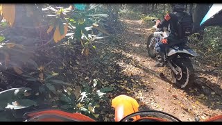 An other Nice Day  KTM Single Track [upl. by Ivett661]