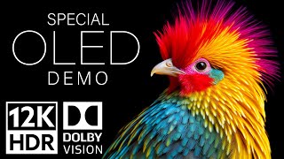 12K HDR Video ULTRA HD 120fps Dolby Vision  Special Oled Demo [upl. by Durman]