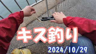 【愛知県釣り】20241029 知多半島 美浜町＃227 [upl. by Ha]