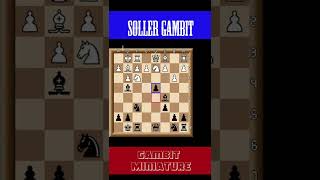 Englund Gambit to Soller Gambitshorts [upl. by Aynekal]